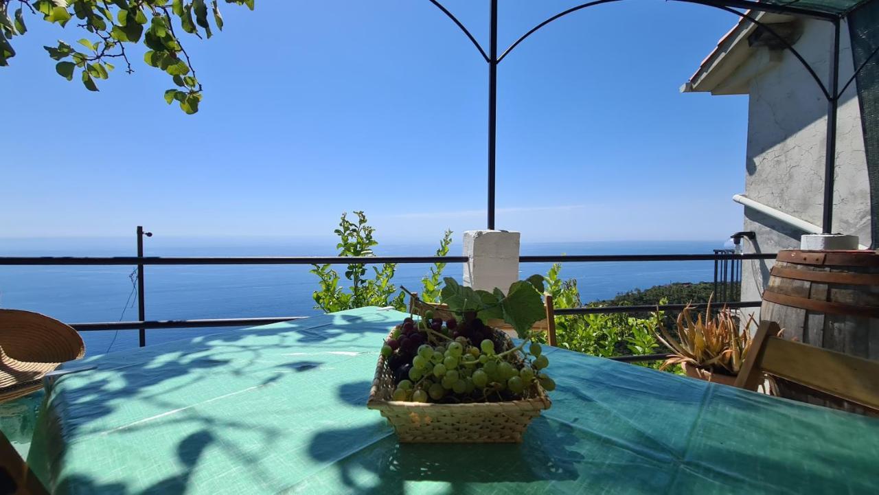 Sunset - Homy 5 Terre Retreat Διαμέρισμα Biassa Εξωτερικό φωτογραφία