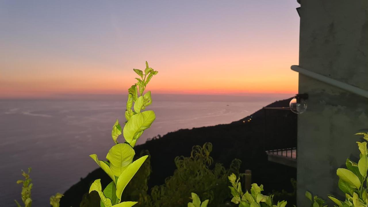 Sunset - Homy 5 Terre Retreat Διαμέρισμα Biassa Εξωτερικό φωτογραφία